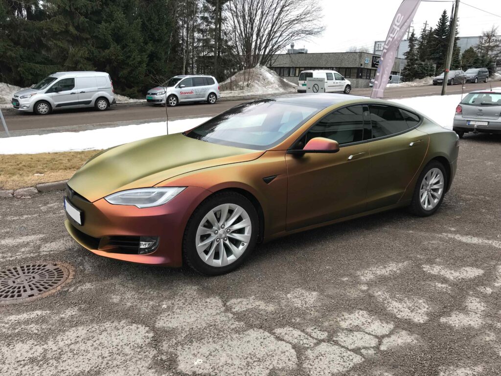 Tesla Model 3 gull